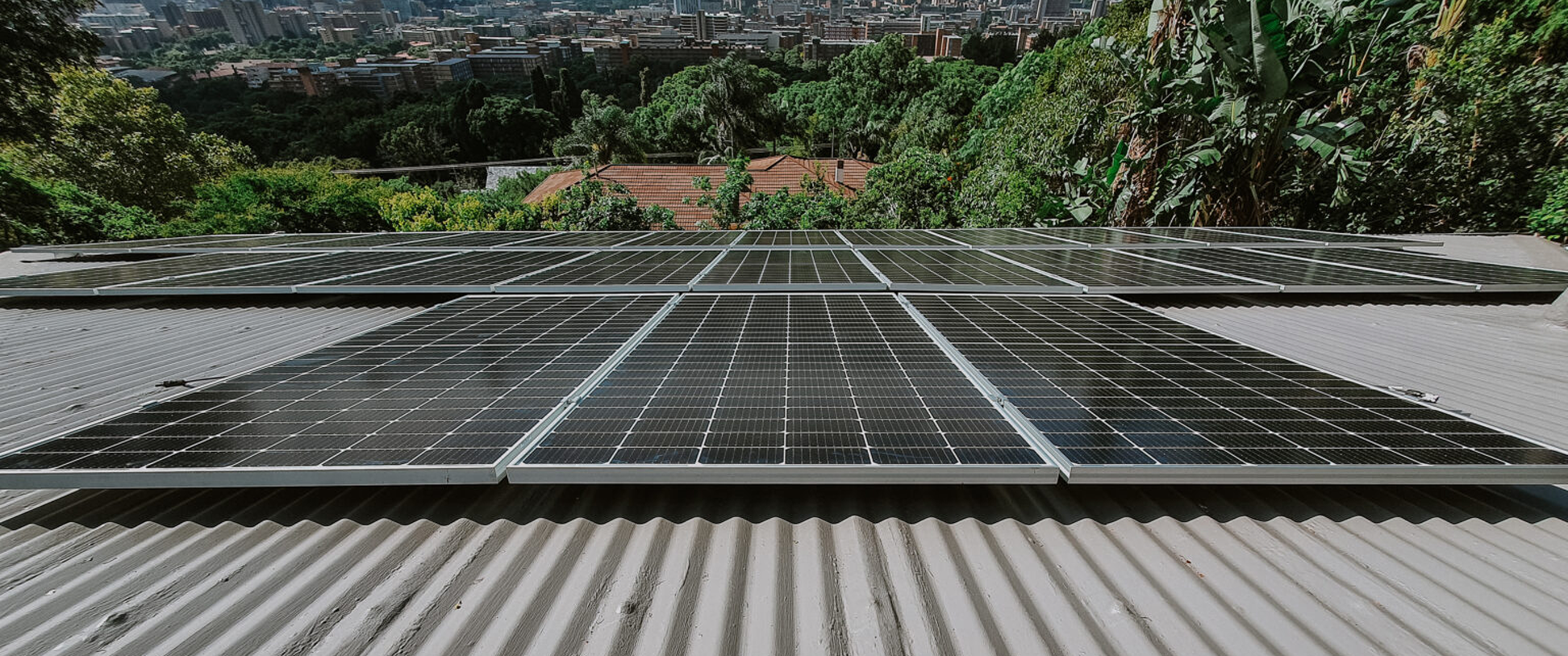 Close-up of a residential solar panel system mounted on a light gray corrugated iron roof overlooking an urban green canopy in Johannesburg.